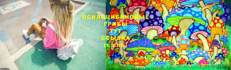 Галлюциногенные грибы Magic Shrooms  Колпашево 